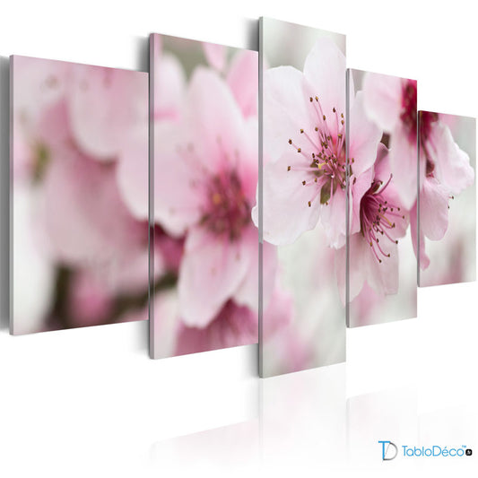 Tableau Fleur de Cerisier