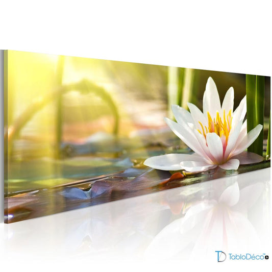 Tableau Fleur Lotus