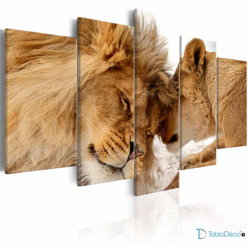 Tableau sur toile Lion et Lionne 5 panneaux