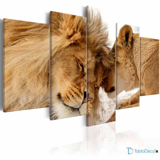 Tableau sur toile Lion et Lionne 5 panneaux