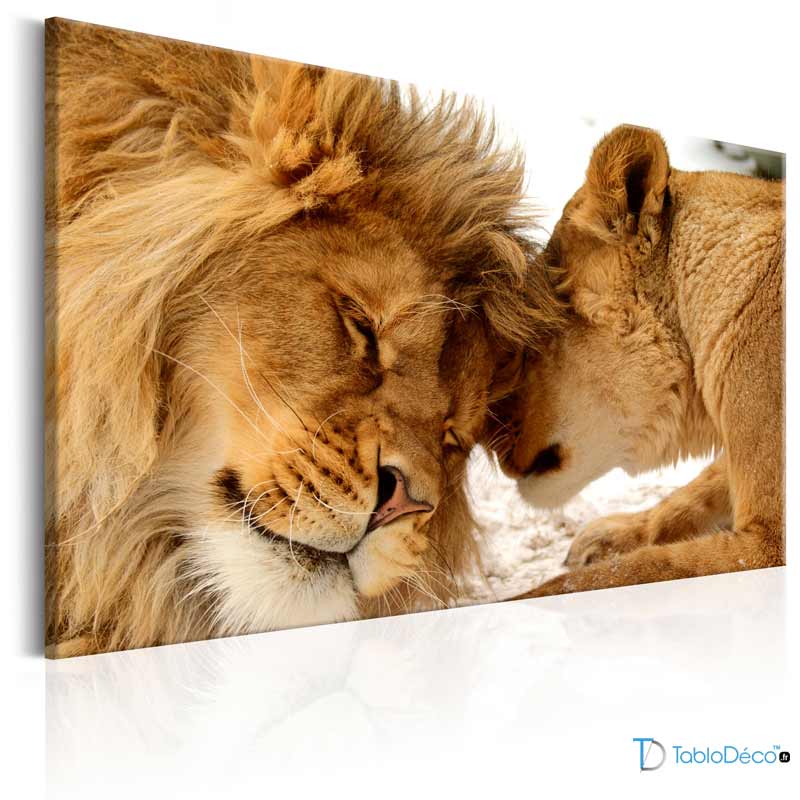 Tableau Lion et Lionne