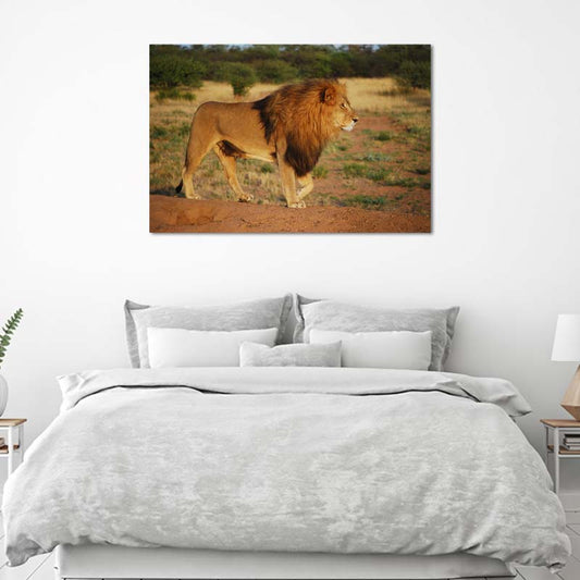 Tableau Lion Savane - TabloDéco.fr