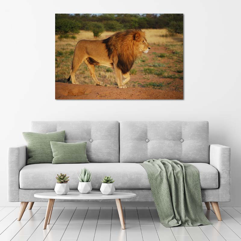 Toile décorative d'un lion dans la savane - TabloDéco.fr