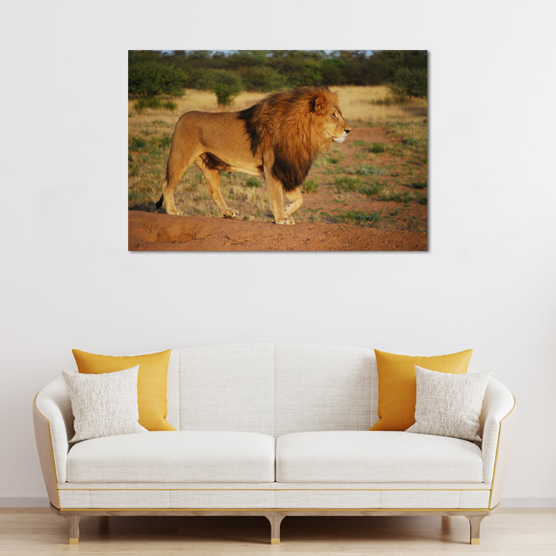 Tableau de décoration sur toile d'un lion dans la savane - TabloDéco.fr