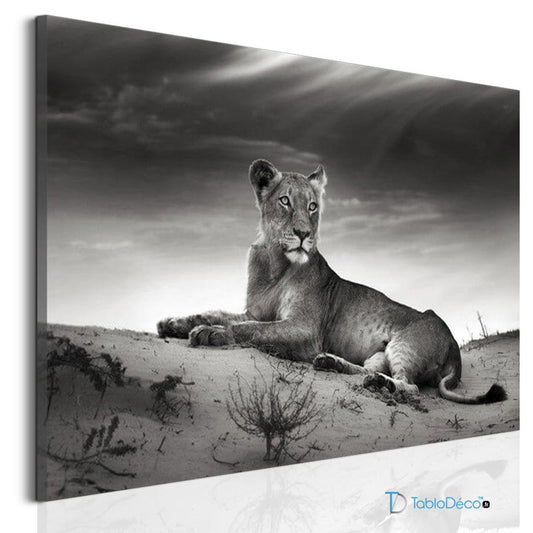 Acheter un Tableau Noir et Blanc Lionne - TabloDéco.fr