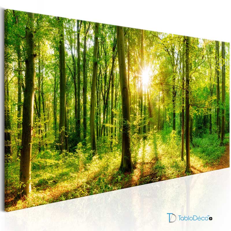 Acheter un Tableau d'un Panorama Forestier - TabloDéco.fr