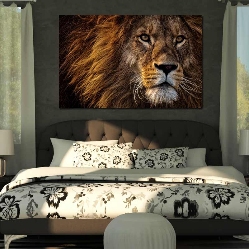 Tableau Photo Lion