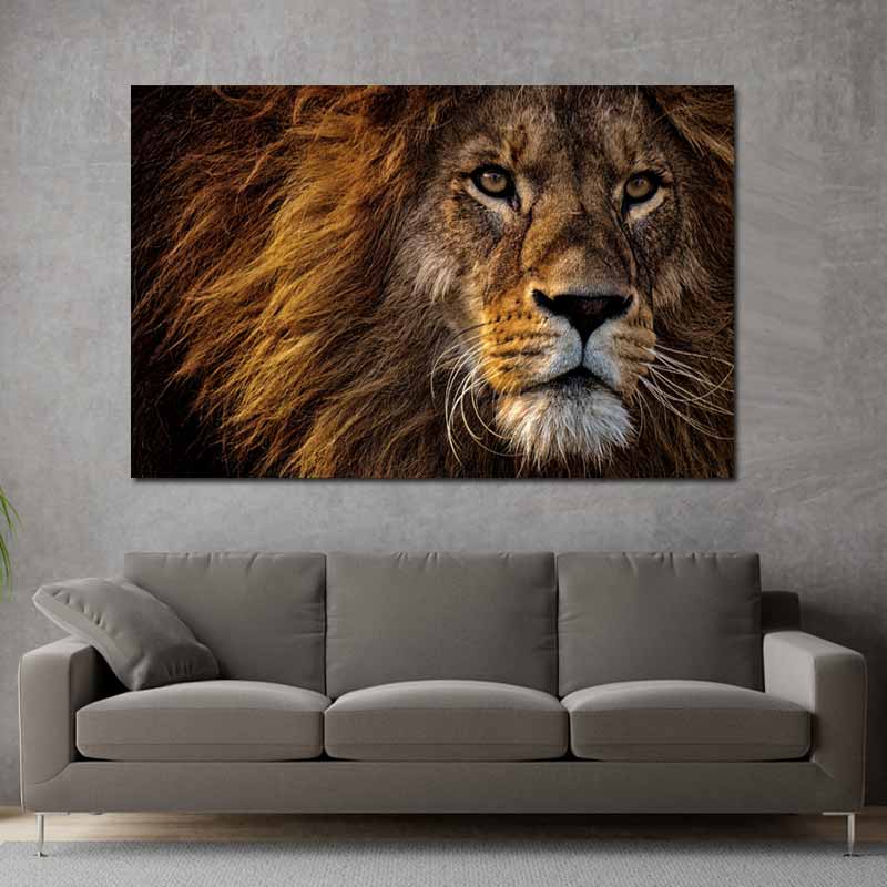 Tableau Photo d'un Lion