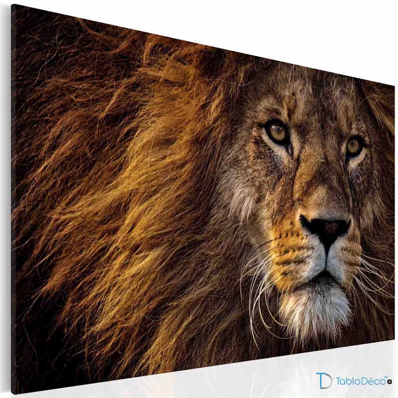 Tableau Déco Photo Lion