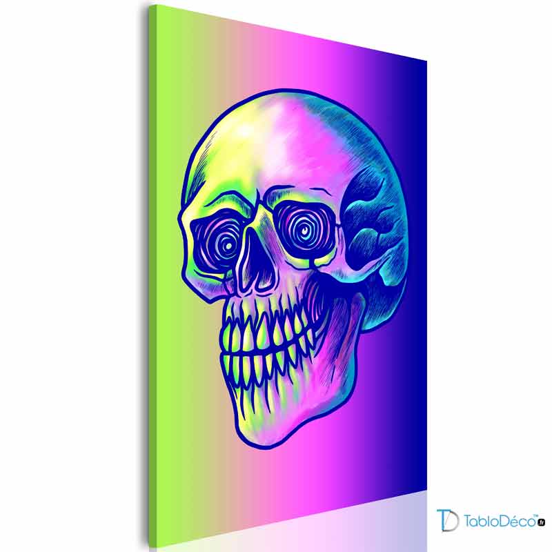 Acheter un Tableau Pop Art Tête de Mort