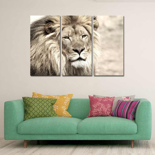  Tableau sur toile en 3 pièces Lion