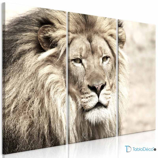  Acheter un Tableau sur toile en 3 pièces Lion