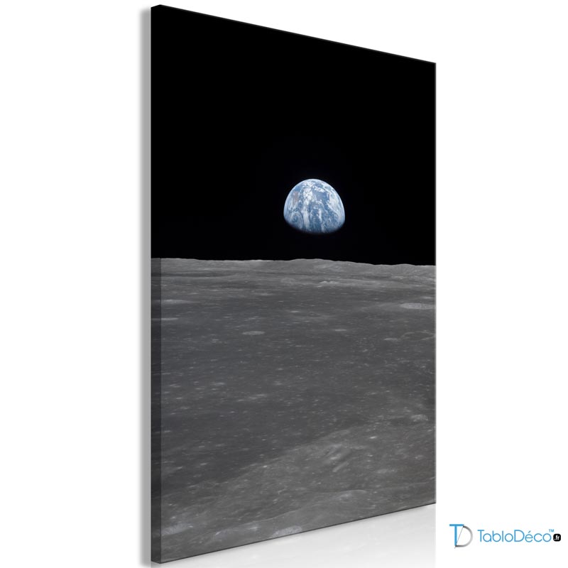 Tableau sur toile de la Terre vue de la Lune