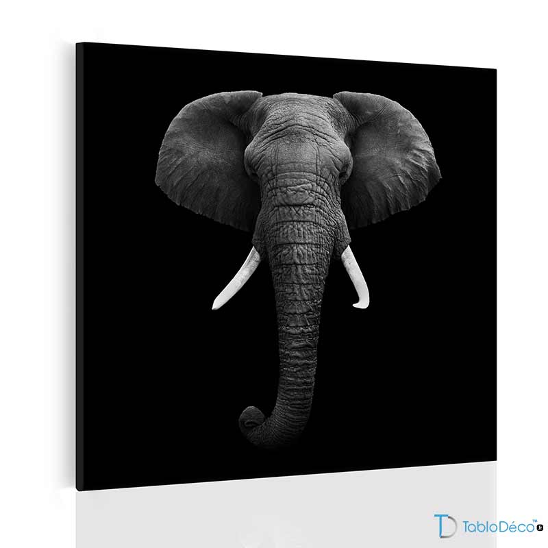 Tableau Tête Éléphant format carré