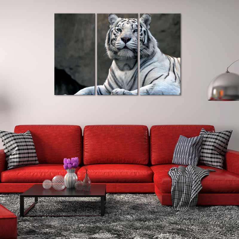 Tableau décoratif d'un Tigre Blanc aux Yeux Bleus 
