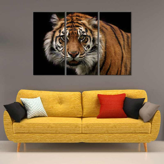 Tableau Triptyque Tigre