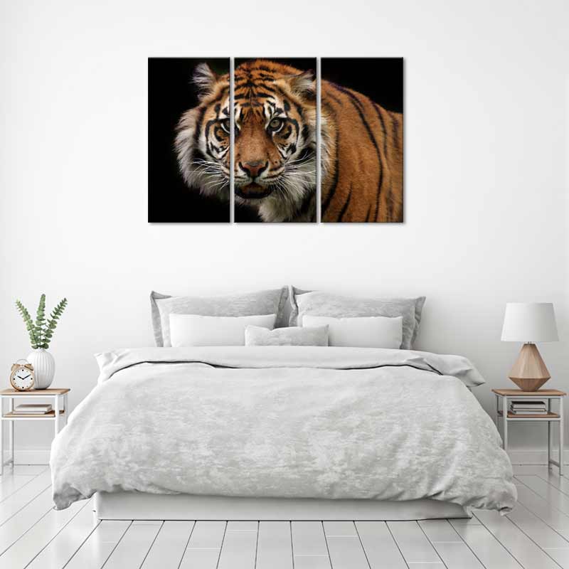 Tableau Triptyque sur toile d'un Tigre