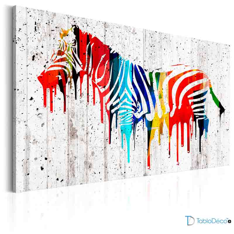 Acheter un Tableau Zèbre Coloré - TabloDéco.fr