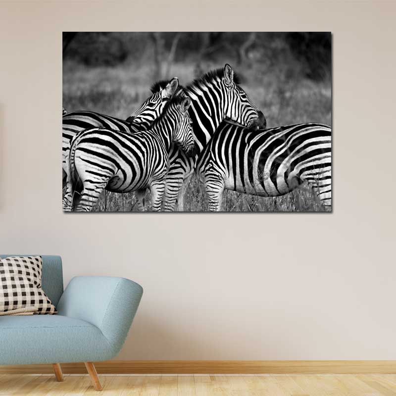 Tableau sur toile imprimée Zèbres de Dos