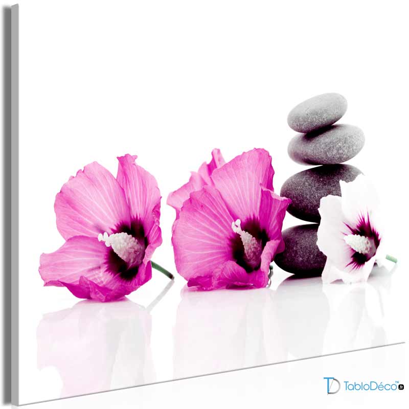 Achetez un Tableau Zen Galets et Fleurs