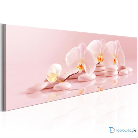 Acheter un Tableau Zen Orchidée Rose